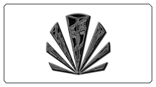 DSC700 602 BK WT Black Sunburst White Background